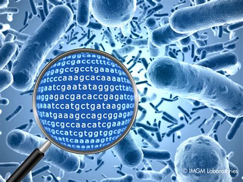 Metagenomics