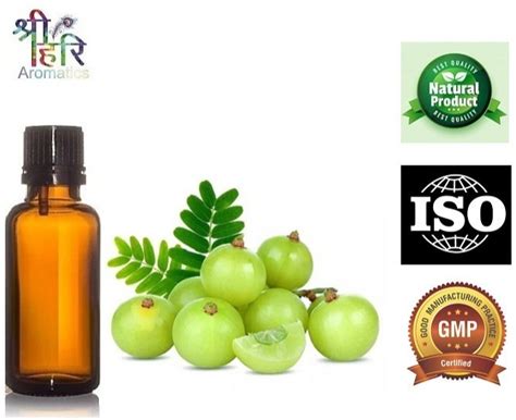 Natural Emblica Officinalis Amla Extract Packaging Type Plastic