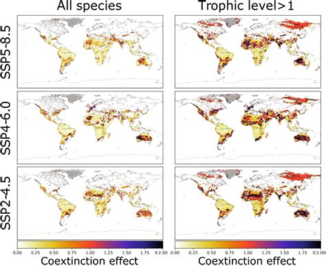 La disparition des animaux liée au changement climatique sera le double