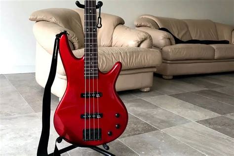 Bass Pickup Types Everything You Need To Know