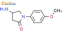 4 氨基 1 4 甲氧基苯基 吡咯烷 2 酮 4 Amino 1 4 methoxyphenyl pyrrolidin 2 one