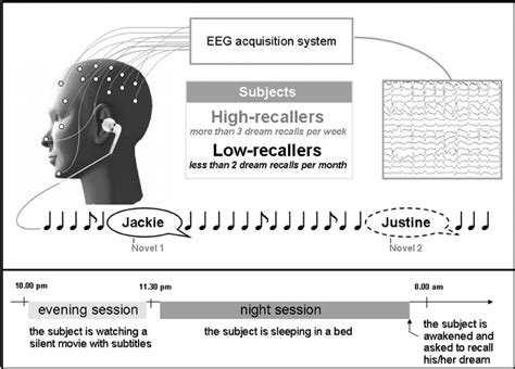 Paradigm Electroencephalogram Eeg Electrooculogram Eog And