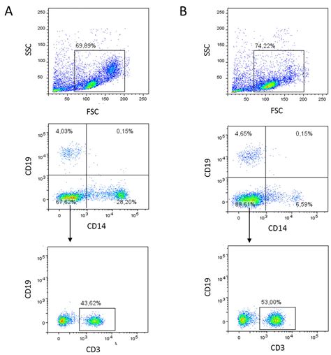 Generation Of Human Monocyte Derived Dendritic Cells From Whole Blood