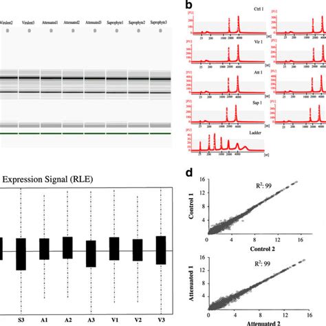 Rna And Microarray Quality Control And Summarization Ab Bioanalyzer