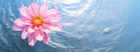 Premium Photo Romantic Creative Background With Pink Flowers Floating