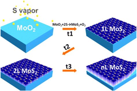 Schematic Of Mos2 Preparation Mos2 Was Synthesized By Layer By Layer