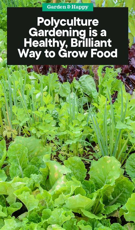 Polyculture Gardening A Healthy Brilliant Way To Grow Food Garden