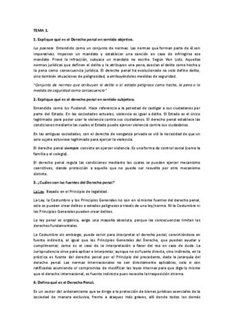 Derecho Penal PREGUNTAS EXAMEN Pdf