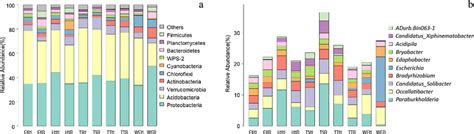 Bacterial Community Composition At The Phylum A And Genera B Levels