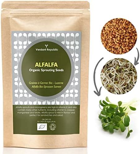 Verdant Republic Organic Alfalfa Sprouting Seeds Kg Non Gmo Healthy