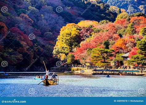 Red Japanese Maple Autumn Fall Momiji Tree In Kyoto Japan Editorial