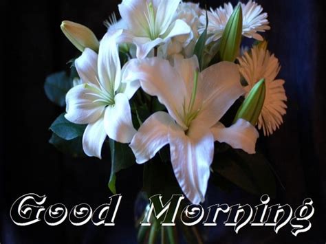 Good Morning With White Flowers Good Morning Wishes Images