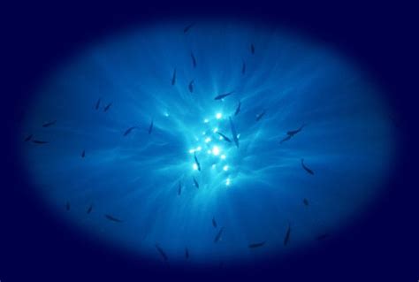 Ocean Exploration Quotes Famous Sea Quotes On Sea And Sky