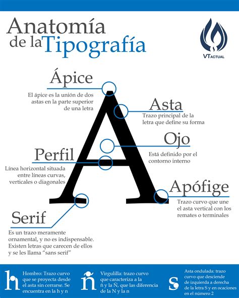 Infografía Anatomía De La Tipografía Anatomia Tipografica