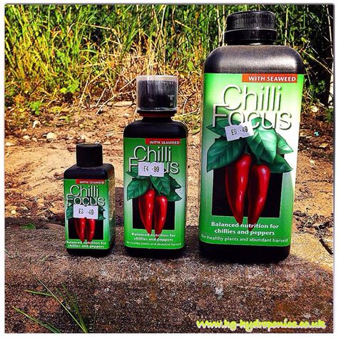 Spice Up Your Garden With Chilli Focus Plant Food