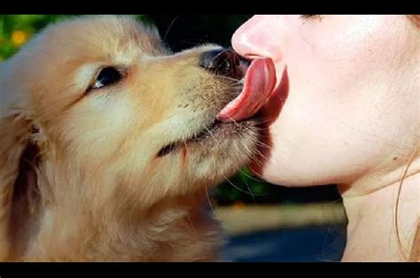 Perdi Manos Y Piernas Tras Ser Lamida Por Su Perro Marie Trainer