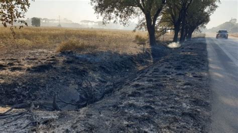 Incendio A Sezze Disagi E Chiusura Lungo La Statale Dei Monti Lepini