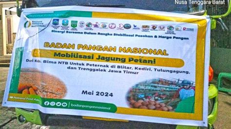 Kabupaten Bima Kirim Ton Jagung Ke Pulau Jawa Untuk Genjot