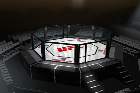 Octagon Arena Ufc Fighting 3d Model