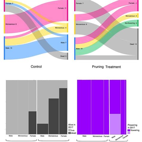 A Sankey Diagram Showing Sex Expression And Mortality Over 3 Years Download Scientific