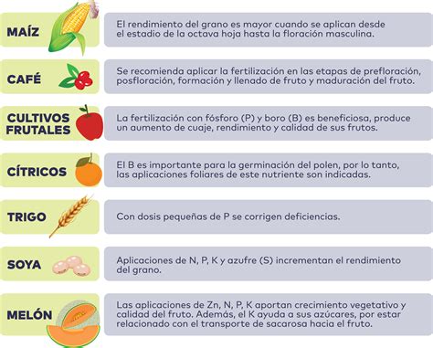 Fertilizantes Foliares Otra Forma De Aportar Salud A Las Plantas