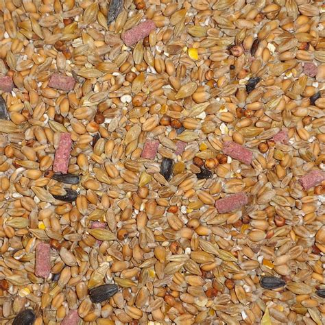 Seed Mixes Wild Bird Seed