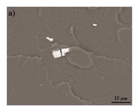 Sem Micrographs Of Fracture Surfaces Of Pla Loaded With P Glass At A