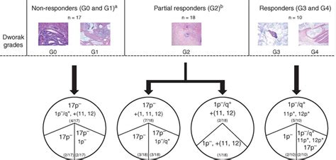 Intratumoral Cytogenetic Heterogeneity Of Locally Advanced Rectal