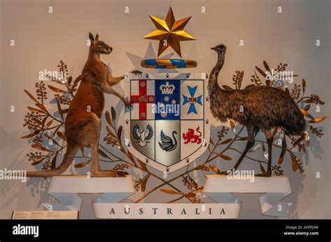 Australian Coat Of Arms