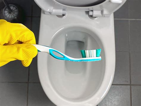 Toilette Mit Hausmittel Reinigen Lifehackerin