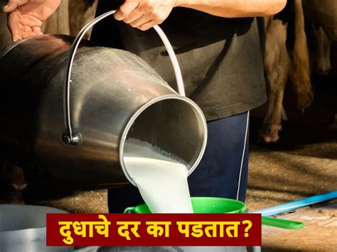 Maharashtra Milk Price News Dairy Business In Maharashtra Rural Economy Farmers Agriculture News