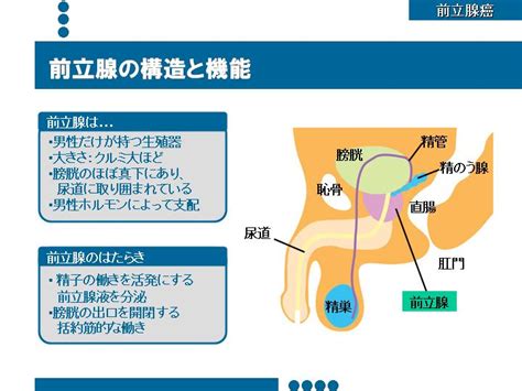 前立腺癌 森医院（養父市）