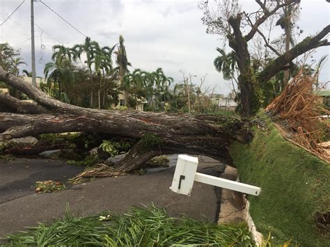 Aftermath of a Cat 5 hurricane (I live in Puerto Rico) : r/woahdude