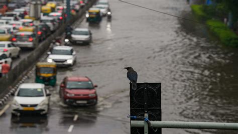 Weather Forecast Yellow Alert In Delhi As Imd Predicts More Rain