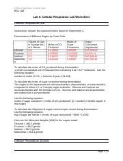 Lab 6 Cellular Respiration Worksheet Docx Click Or Tap Here To Enter