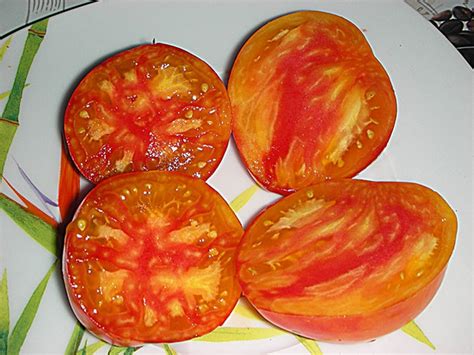 Томат Козула 156 Описание Сорта Фото Отзывы – Telegraph