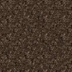 Tree Bark Close And Far 1024 And 2048 Tiled Brown 2048 Png