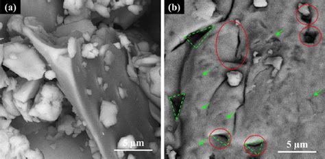 Bse Images Of Alcufe Powder Sample Before A And After Leaching B