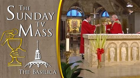 The Sunday Mass April Palm Sunday Cc Youtube