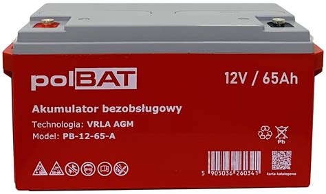 Akumulator AGM 12V 65Ah PolBAT Inerge