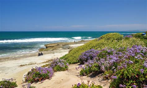 A Local's Guide to Incredible Beaches in San Diego - You Have to See ...