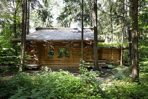 Удивительный дома из дерева в лесу