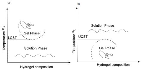 Thermoresponsive Hydrogel Molecule Encyclopedia Mdpi