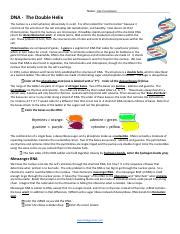 Julia Nordstrom Copy Of Dna Coloring The Double Helix Pdf