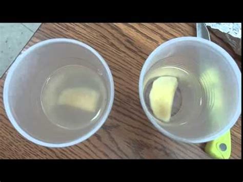 Osmosis Using Potato Strips Youtube