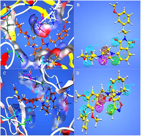 Docking Conformations And Pharmacophore Mapping Of Compounds 13 And