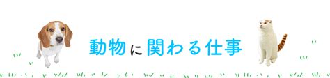 自分にピッタリの動物の仕事を見つけよう！ 大阪ペピイ動物看護専門学校