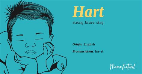 Hart Name Meaning, Origin, Popularity, Boy Names Like Hart - Mama Natural