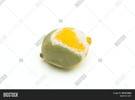 Picture Rotten Lemon Image And Photo Free Trial Bigstock