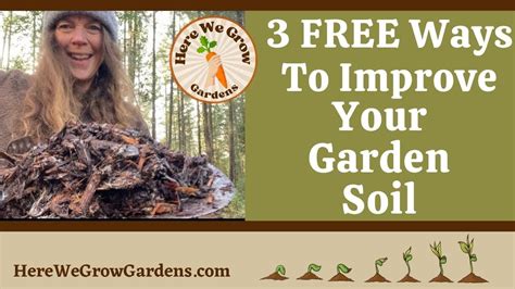 Increase The Fertility Of Your Garden Beds Inexpensively Garden Beds